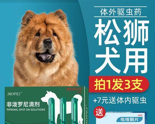 松狮犬训练全攻略（让你的松狮犬成为听话的好宠物）