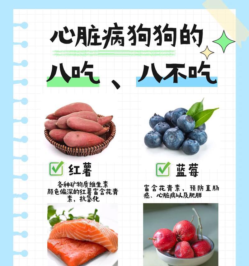 了解这些禁忌食品，宠物犬健康更有保障（了解这些禁忌食品，宠物犬健康更有保障）