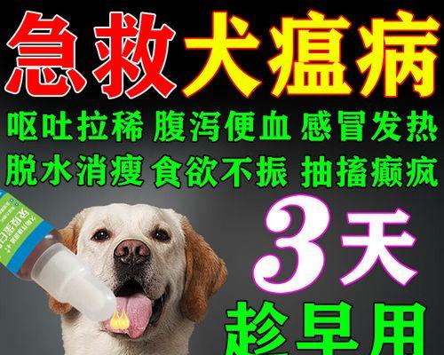 宠物犬瘟热症状详解（掌握犬瘟热的15个表现症状，及时治疗宠物的重要性）