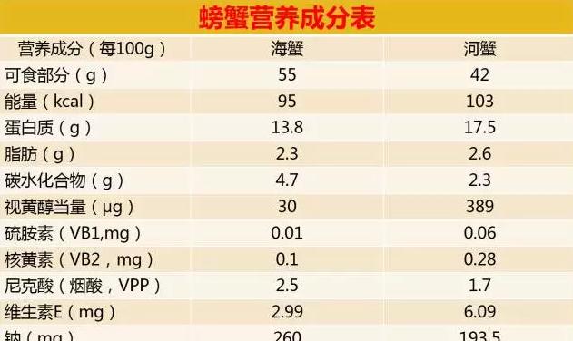 如何科学饲养包兰格海角陆龟（以宠物为主，让你成为一名优秀的陆龟饲养者）