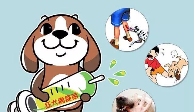 宠物狂犬病防控指南（了解狂犬病，保护爱宠生命）