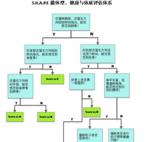 粗颈龟饲养全攻略（打造健康快乐的宠物生活）