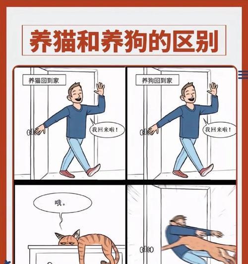 猫狗共存的秘密（如何让宠物猫咪和狗狗和平相处）