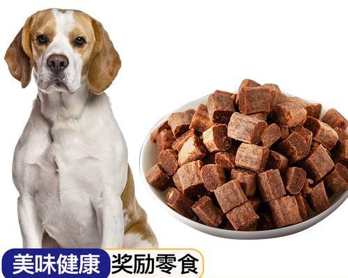 如何为比格犬补充营养（宠物主人必知的比格犬营养补充方法）