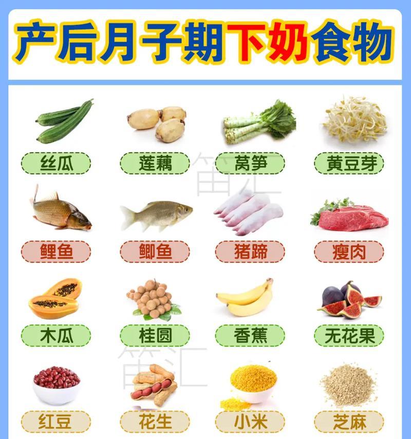 狗如何帮助妇女快速下奶（与宠物狗建立亲密关系是增加乳汁分泌的关键）